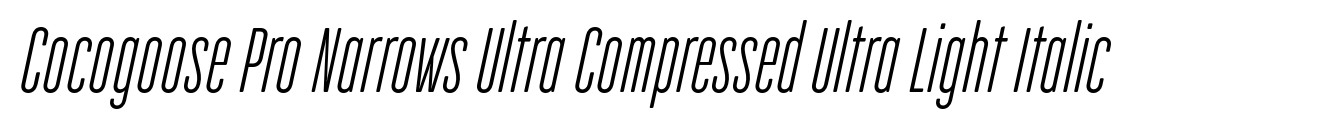 Cocogoose Pro Narrows Ultra Compressed Ultra Light Italic